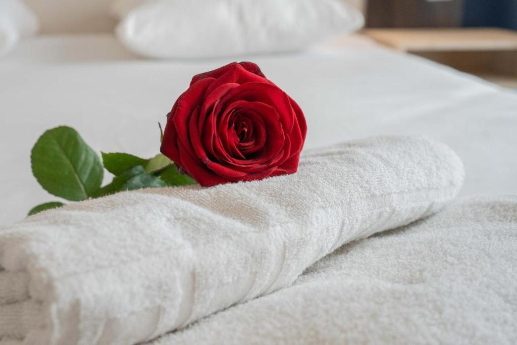 Al Asr almasi Suite Apartments