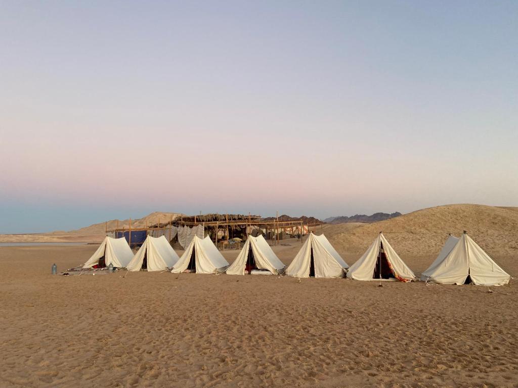 In the heart of Sinai, Blend in Nature beach view Camp