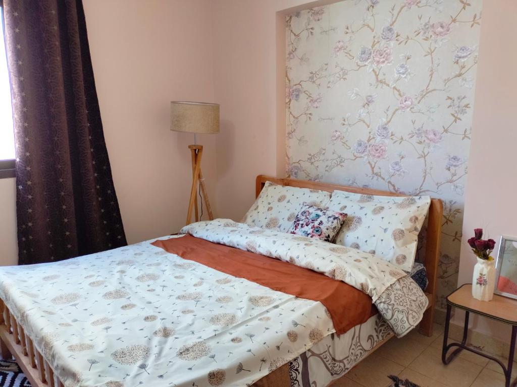 Cozy apartment Maadi Ring road