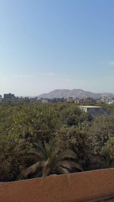 Home