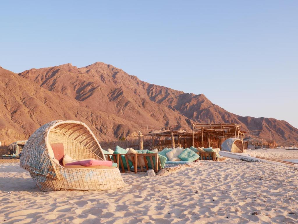 El Dar Camp