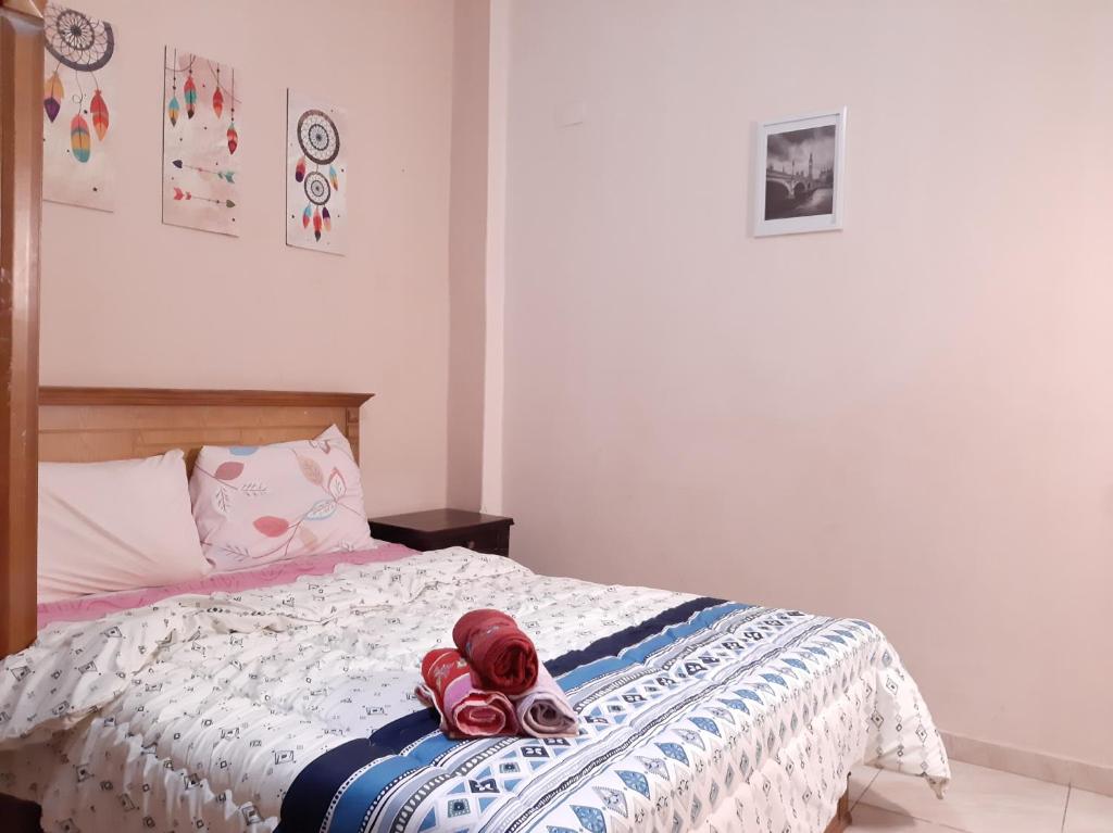 Family Apartment – Downtown Cairo