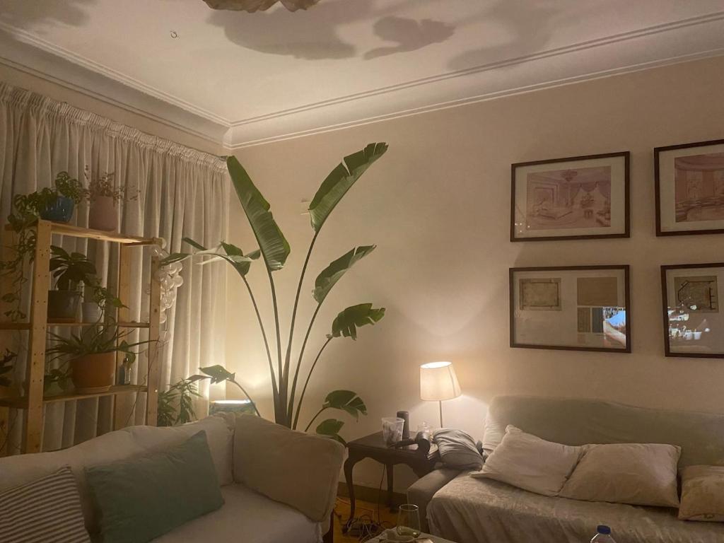 Gorgeous 2 bedroom apartment in Mohandseen