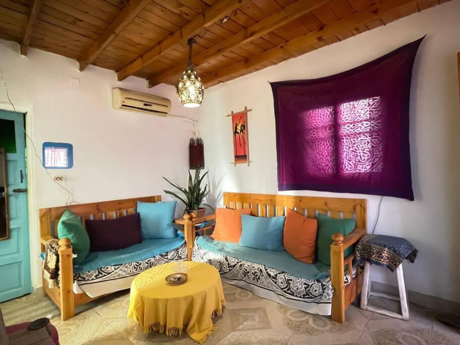 House with a huge garden in quite area