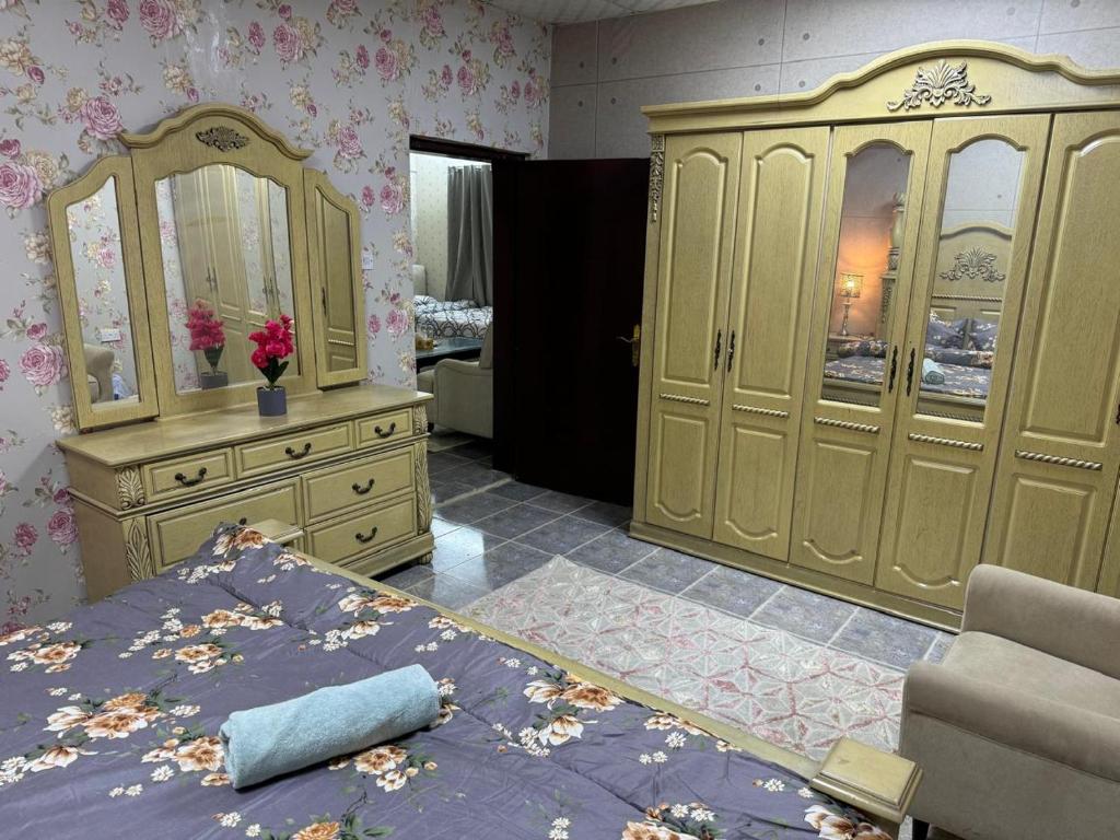 العين الهيلي مصباح ب 11