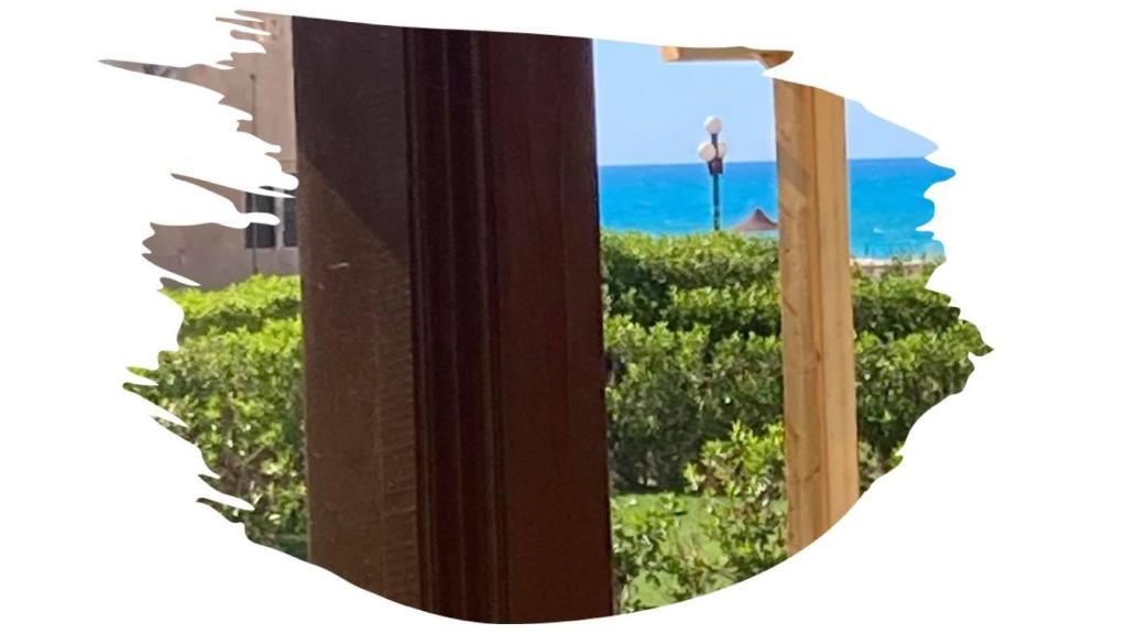 Location Maison en bord de mer, Nord Egypte