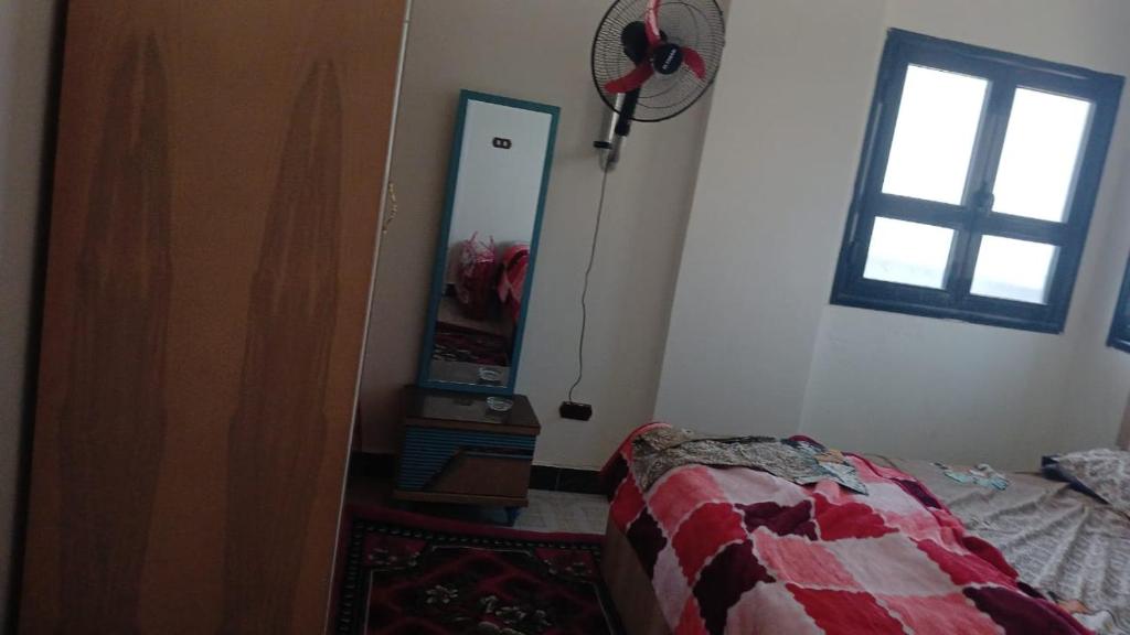 الاسكندريه العجمي/اكتوبر شاطئ النخيل