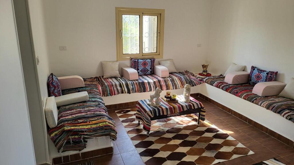 Mansouria Ranch – Cairo – Egypt