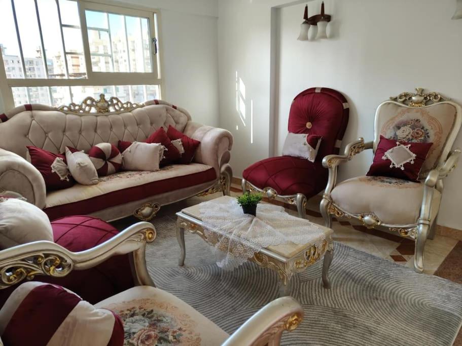 Newly Furnished Apt in Alex