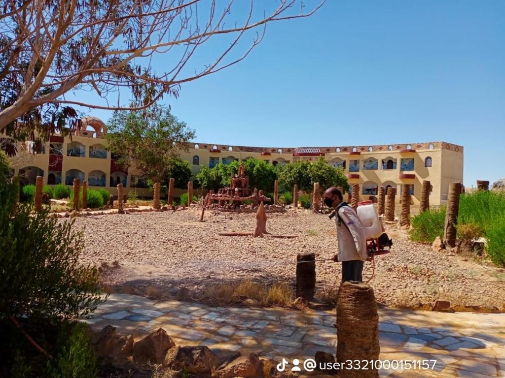 oasis panorama