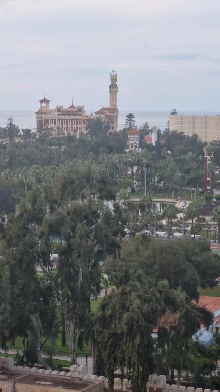 رويال فيو المنتزة Royal view Elmontaza