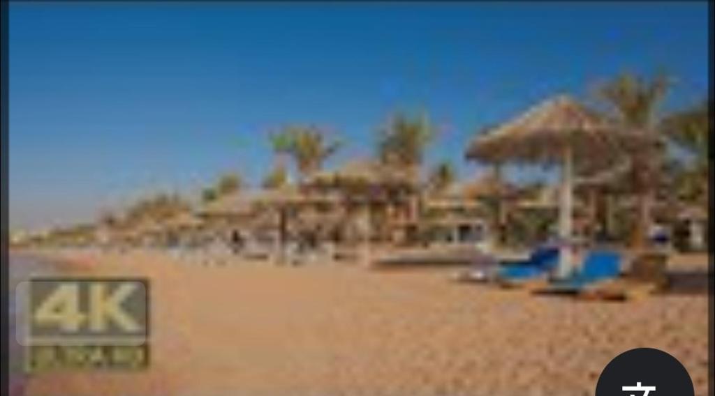 Sharm dream vacation clup