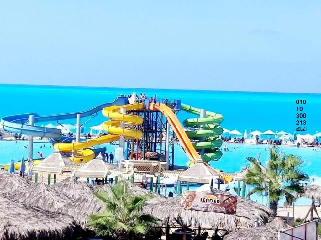 شالية قرية اللوتس