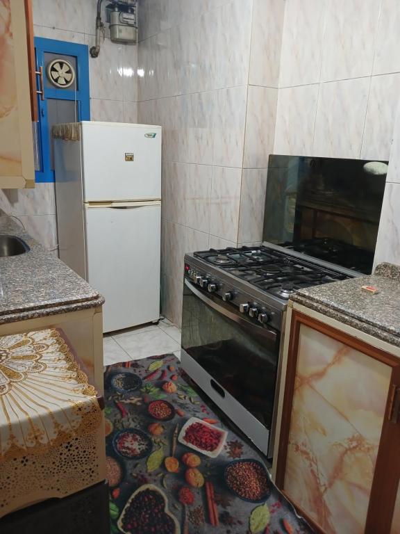 شقة بالاسكندرية
