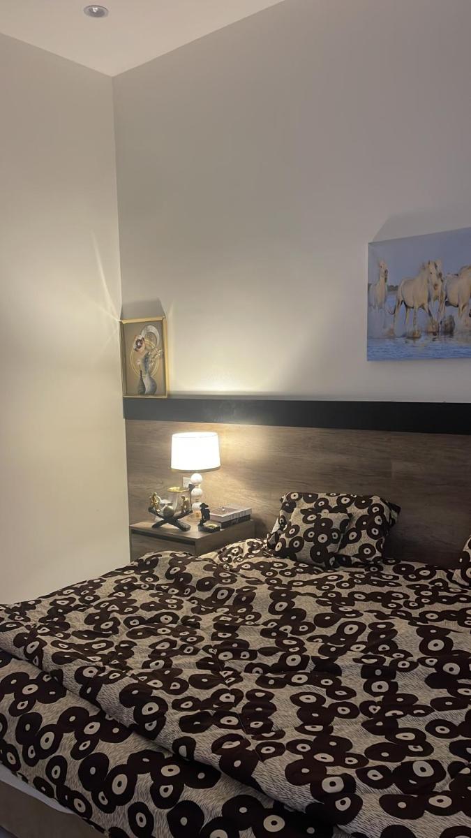 شقه حي الوادي