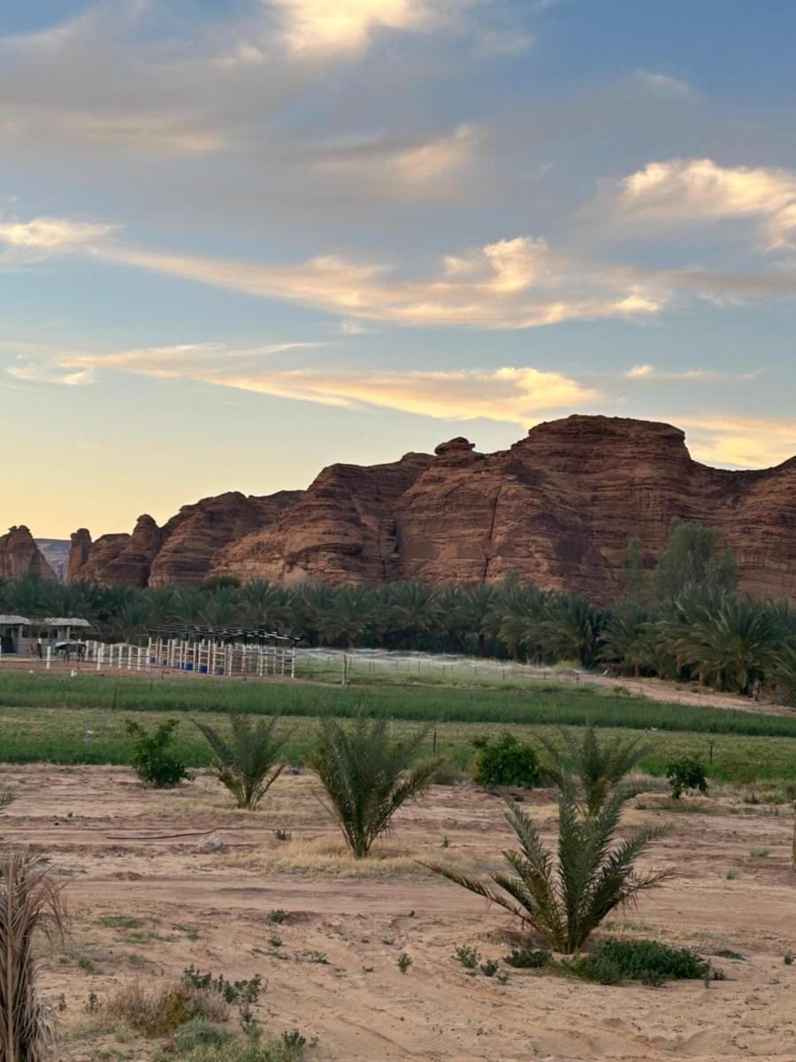 استراحه الفخامة