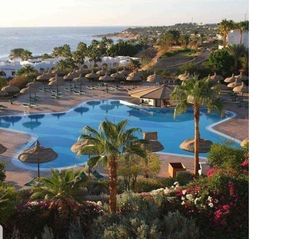 Domina Coral Bay Sea View Studio with Kitchenette