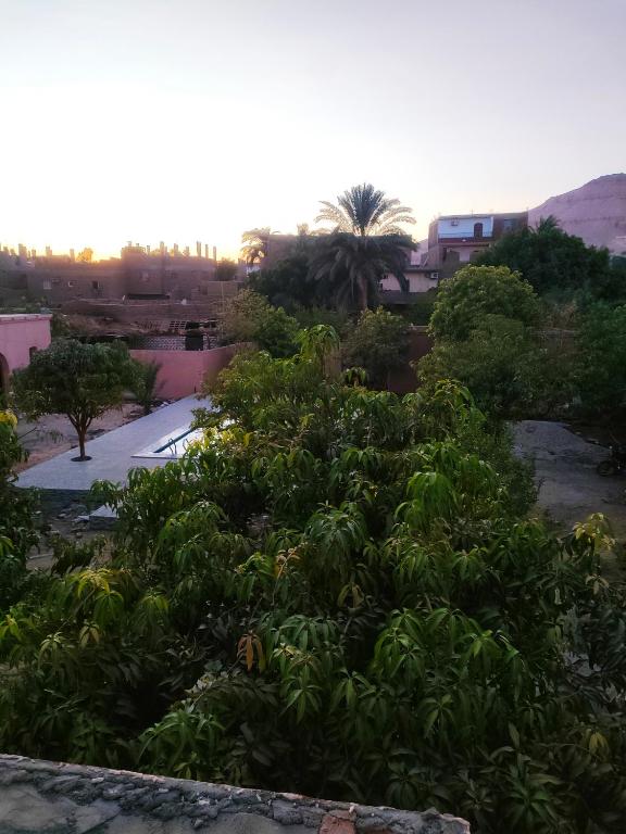 El Juneina Villas