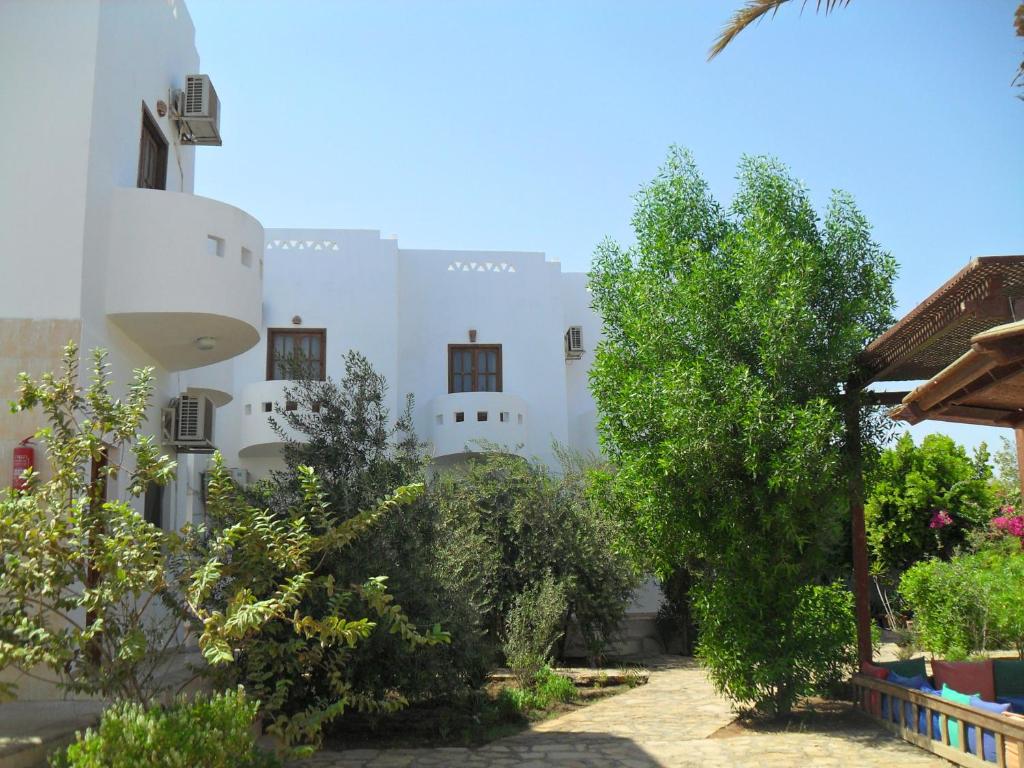 الاسكا كامب