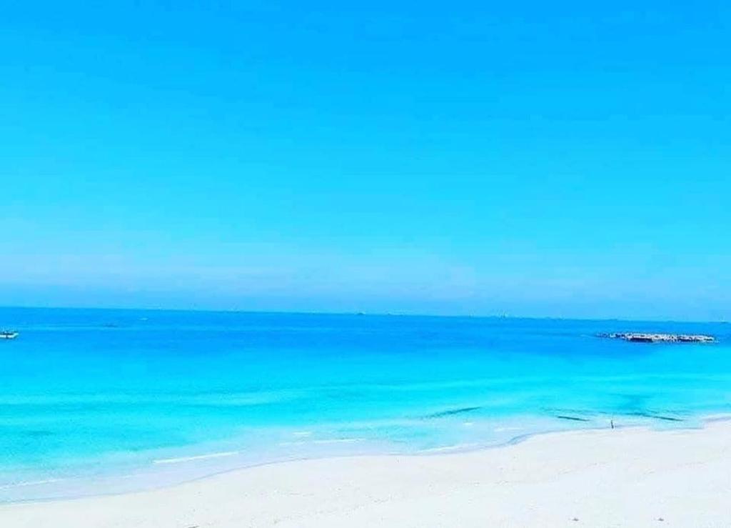 Bianchi paradise