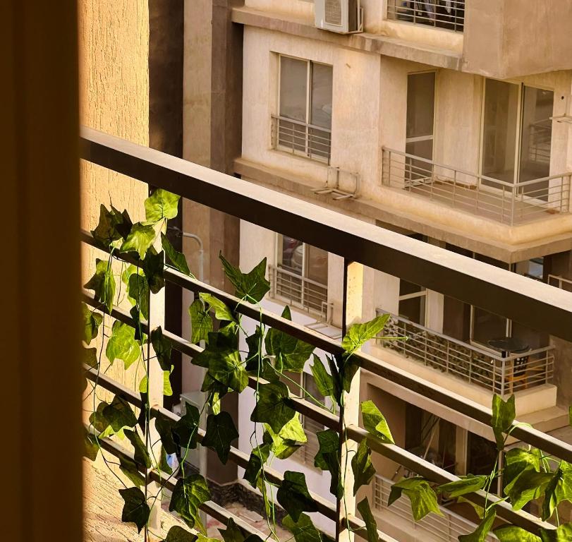 A room in a shared apartment in New Cairo, Al-Rehab