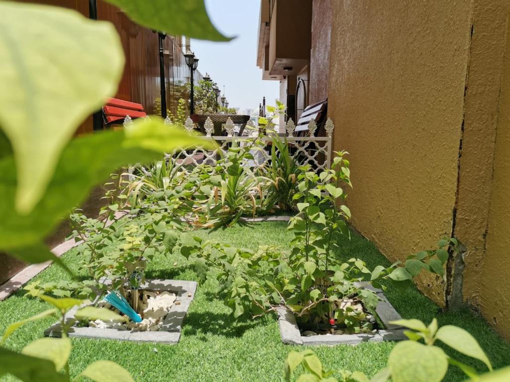 العربية للشقق الفندقية