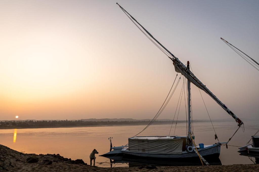 Nuba Tod Sailling boat