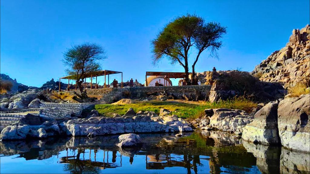 ASSINGAR camp
