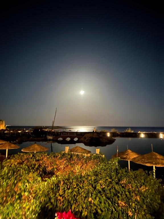 Domina coral bay Beach and lake direct view 3