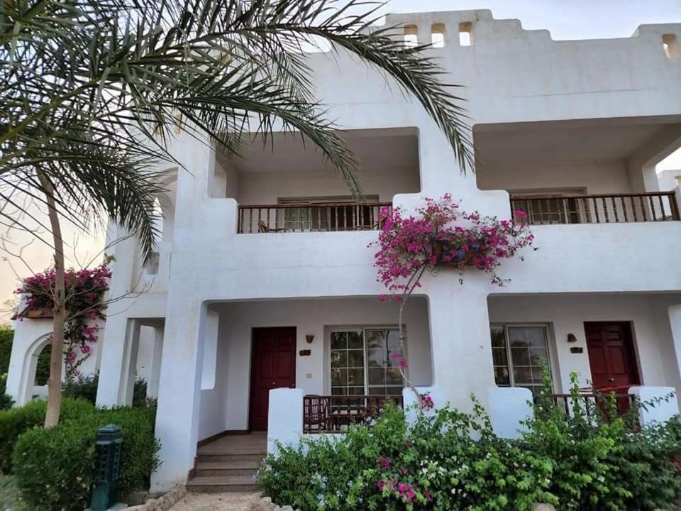 Best studio in Delta Sharm