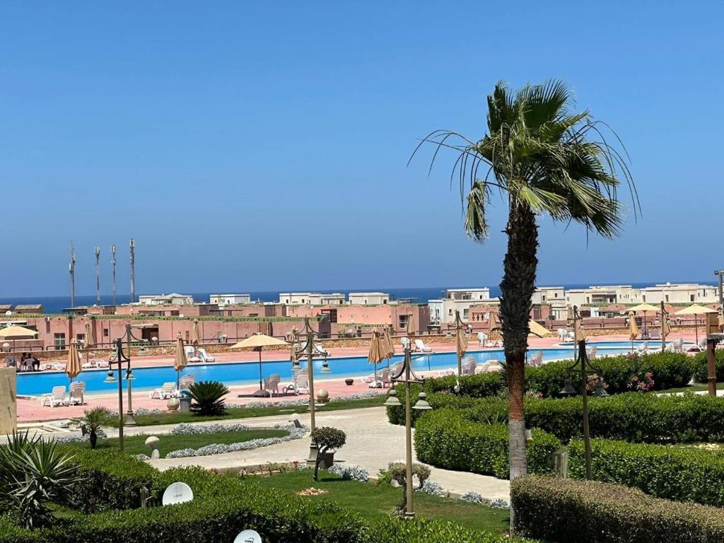 بلومار Blumar