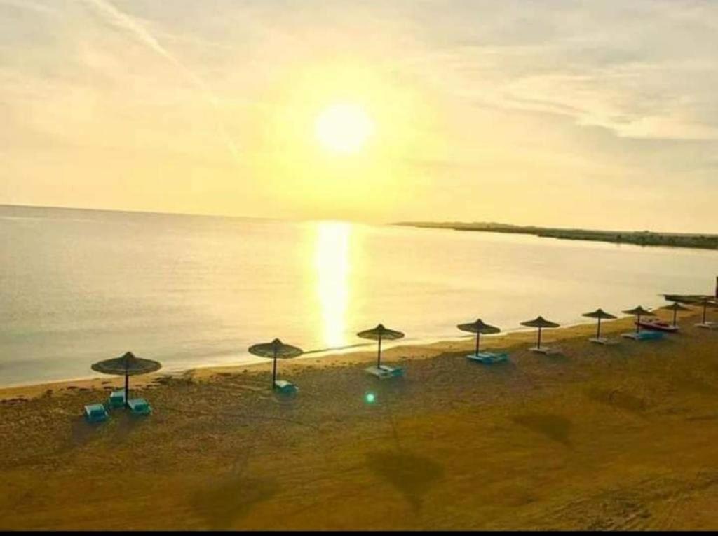 Cecelia Resort - Studio chalet