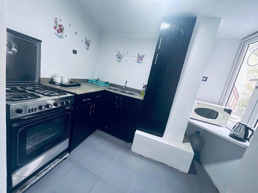 3-bedroom apartment with private garden, Sheikh Zayed City center