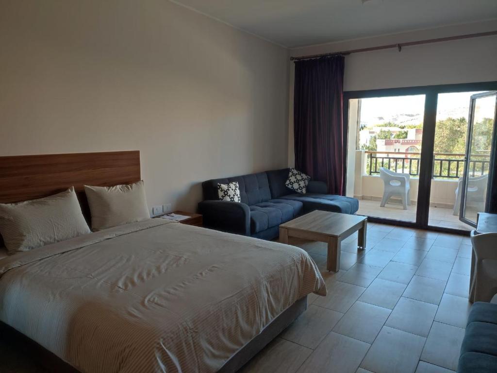 Cozy big studio Aldau Heights
