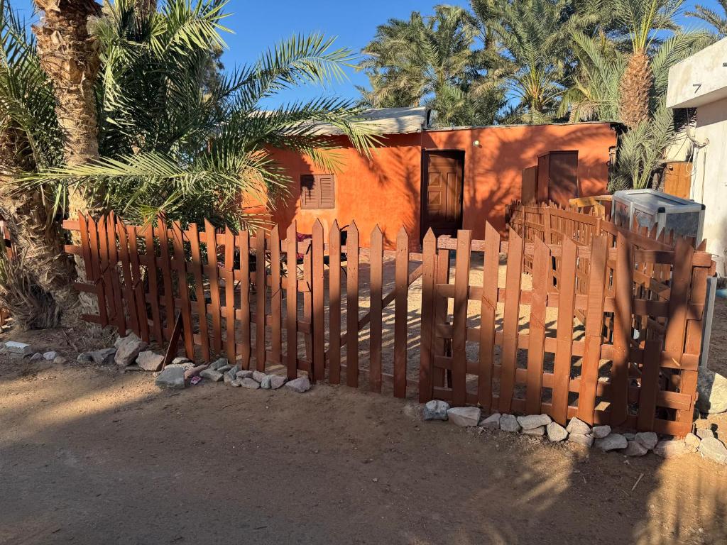 Cozy Camel Studios