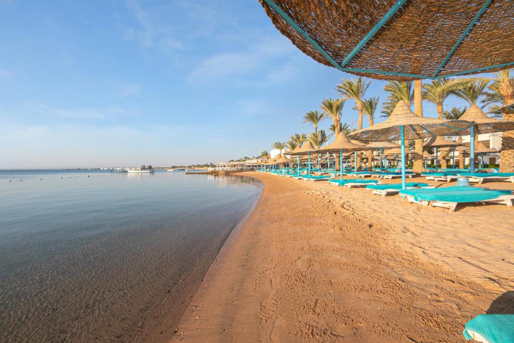 مارلين إن أزور