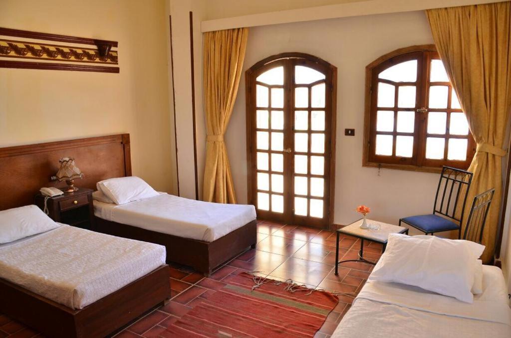 Dolphin Hotel Safaga