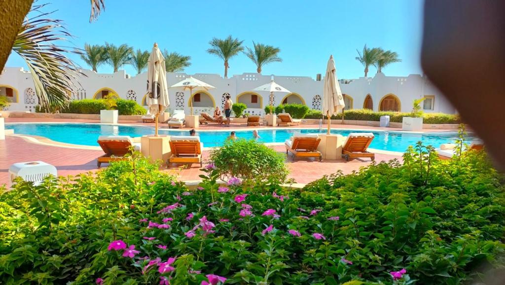 Domina Coral Bay Prestige