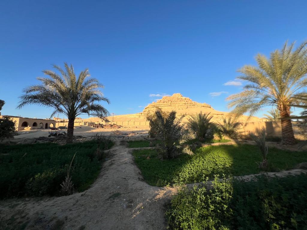 Eeri Siwa Oasis