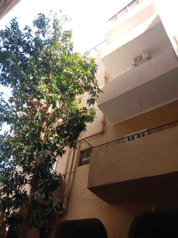 Cream Hostel
