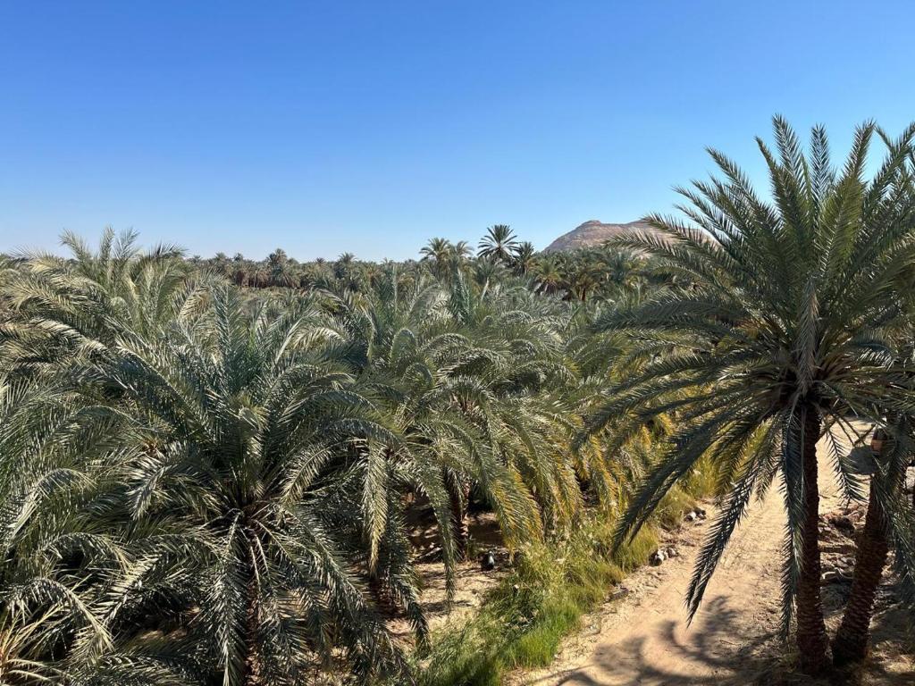 El-Beit