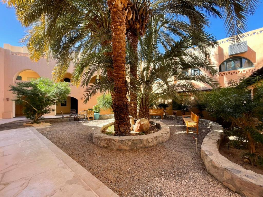 Elgouna Downtown Property