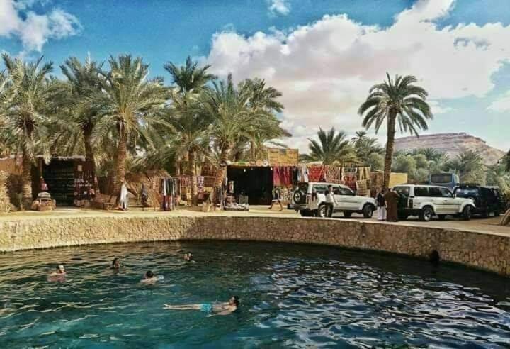 Five oasis desert camp