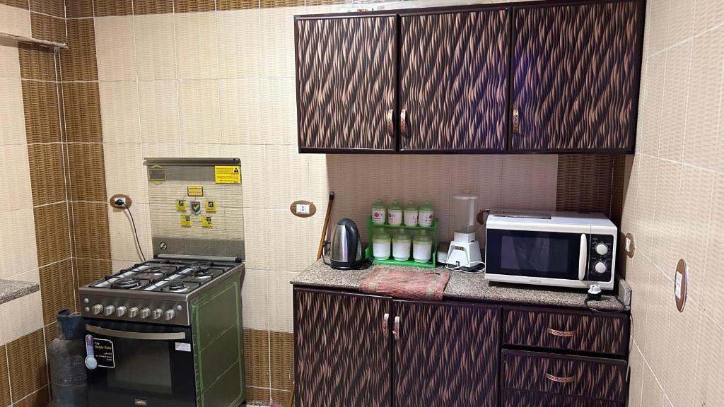 Super Elite apartment Nile View F9