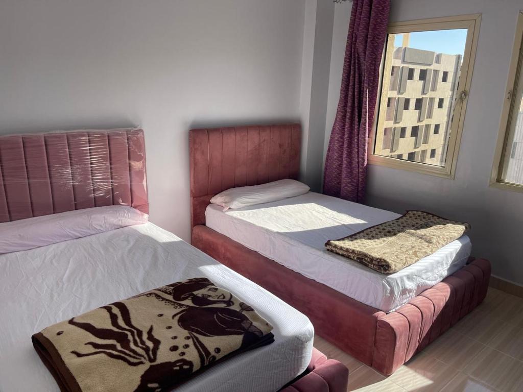 Flat fully furnished for rent
