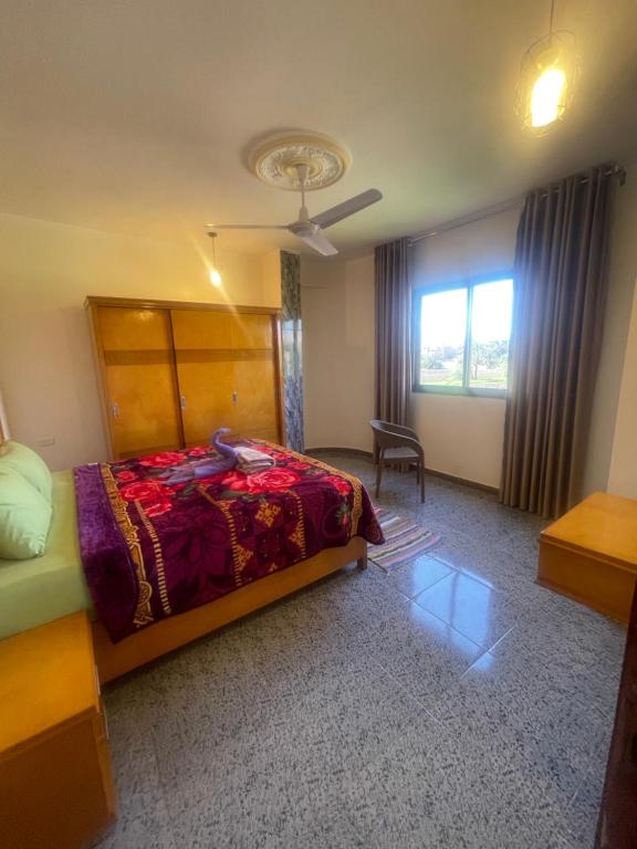 Flat in Kom