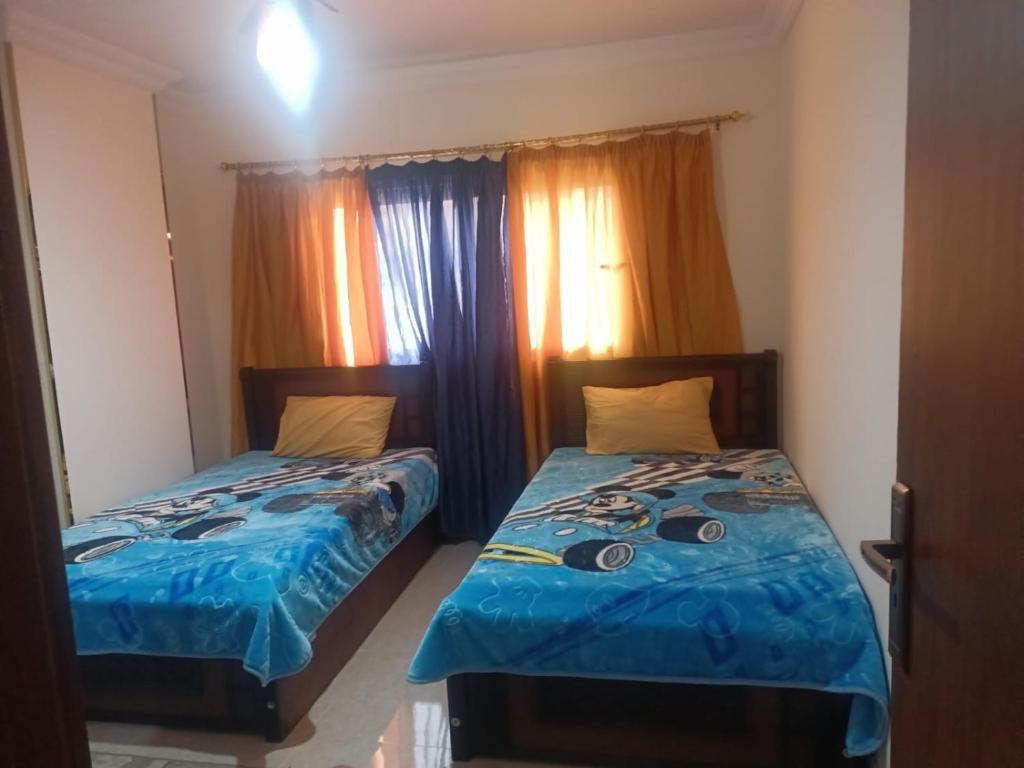 Gold New Luxury Apartment