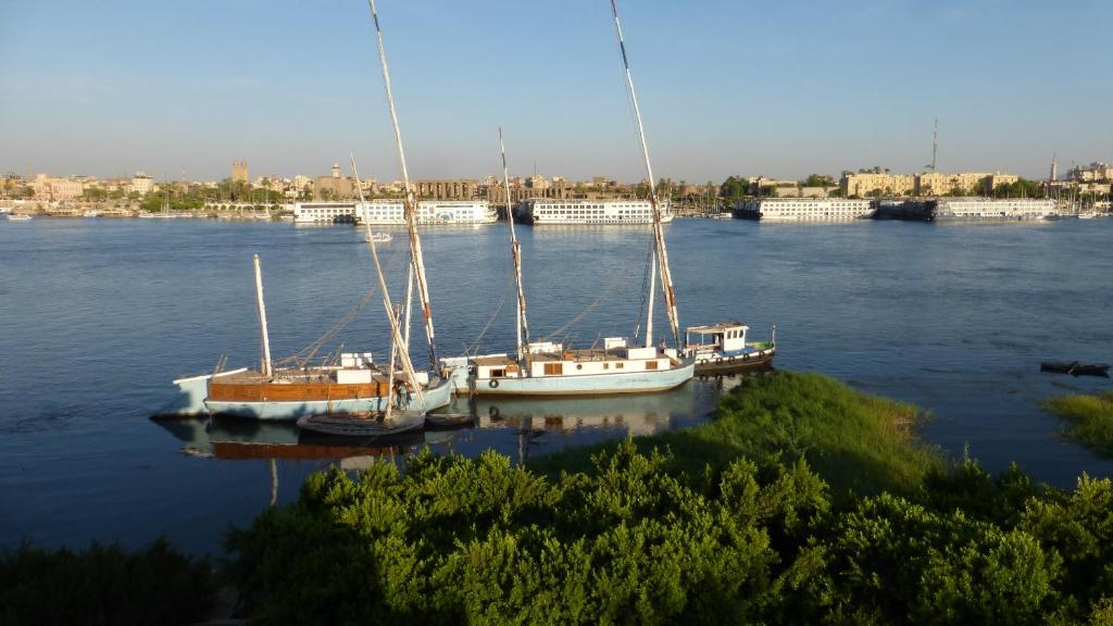 Terrasses et Jardins sur le Nil chez Hagag rive Ouest