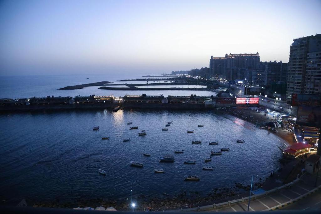 جليم الإسكندرية
