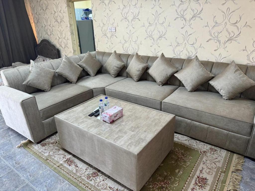 العين الهيلي مصباح ب 8
